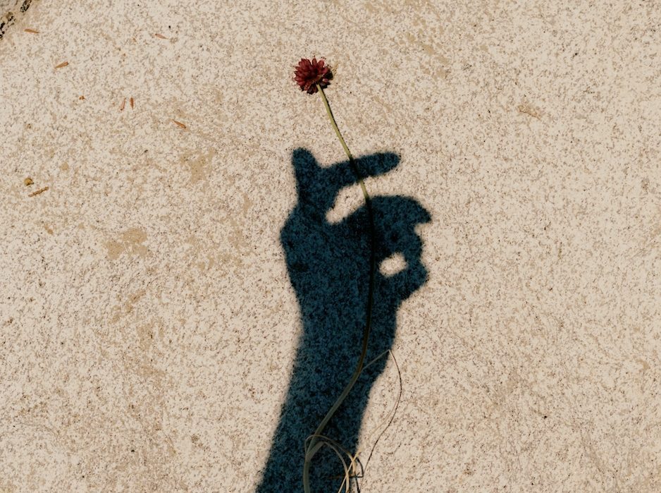 Hand, die Blume hält, ORA Coaching Lilli Benz